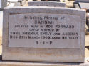 Forward Hanna