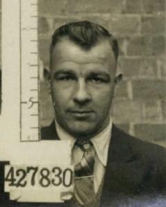 Robert D Healy