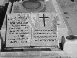Edwin W Watson